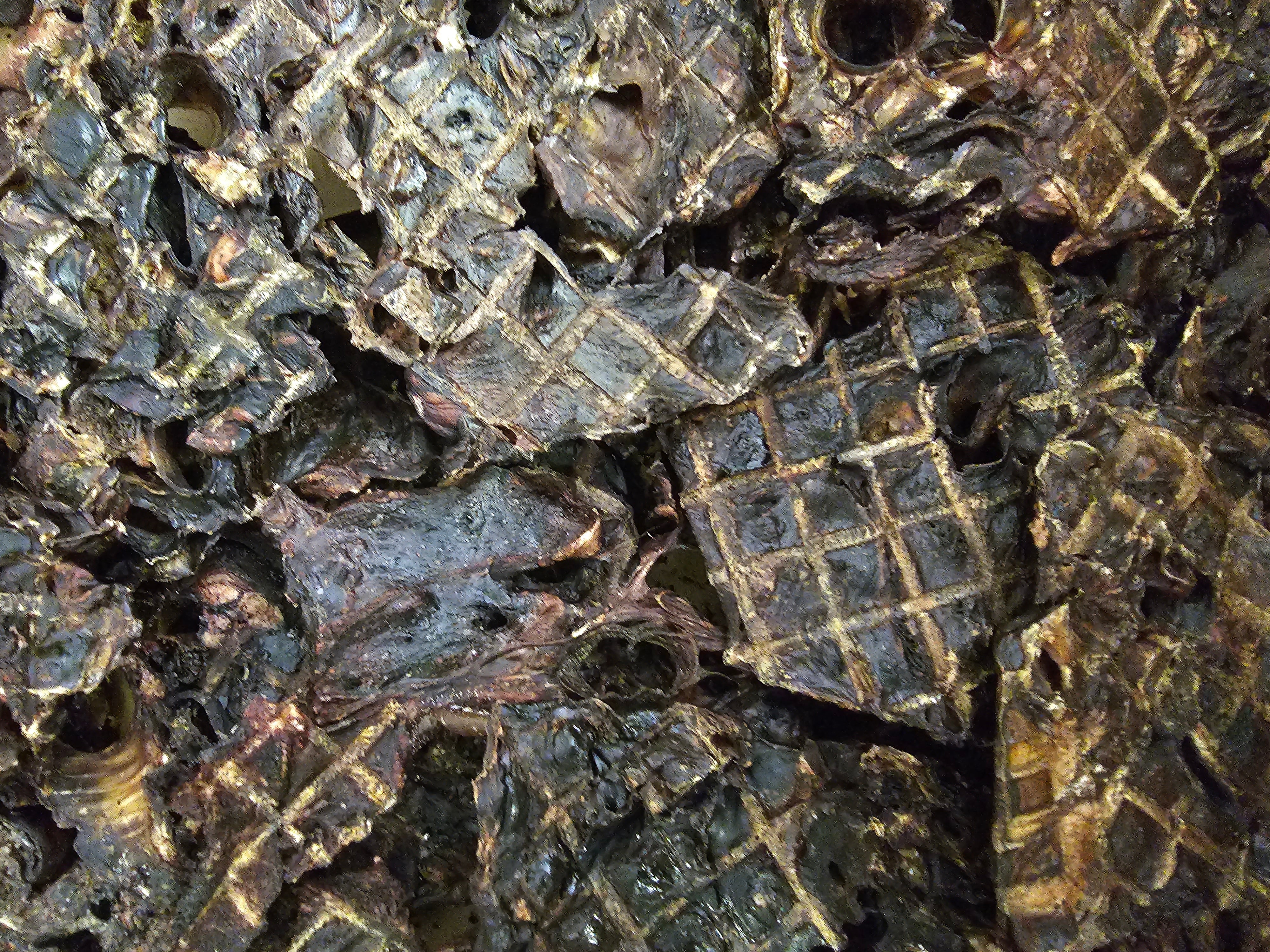 Kangaroo Lung Pieces