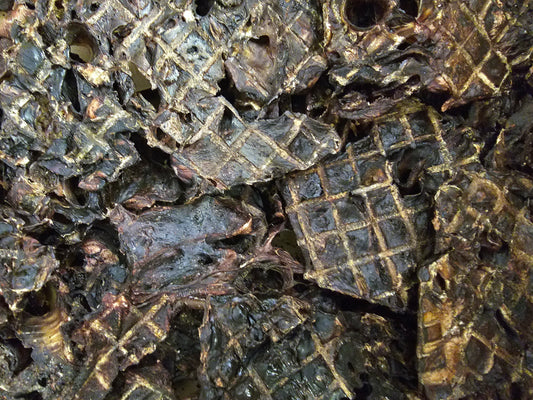 Kangaroo Lung Pieces